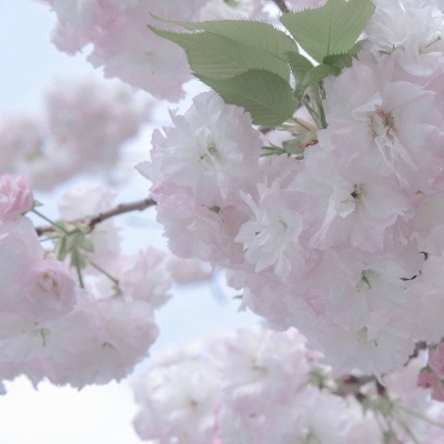 Furry插画细节刻画福瑞交流群